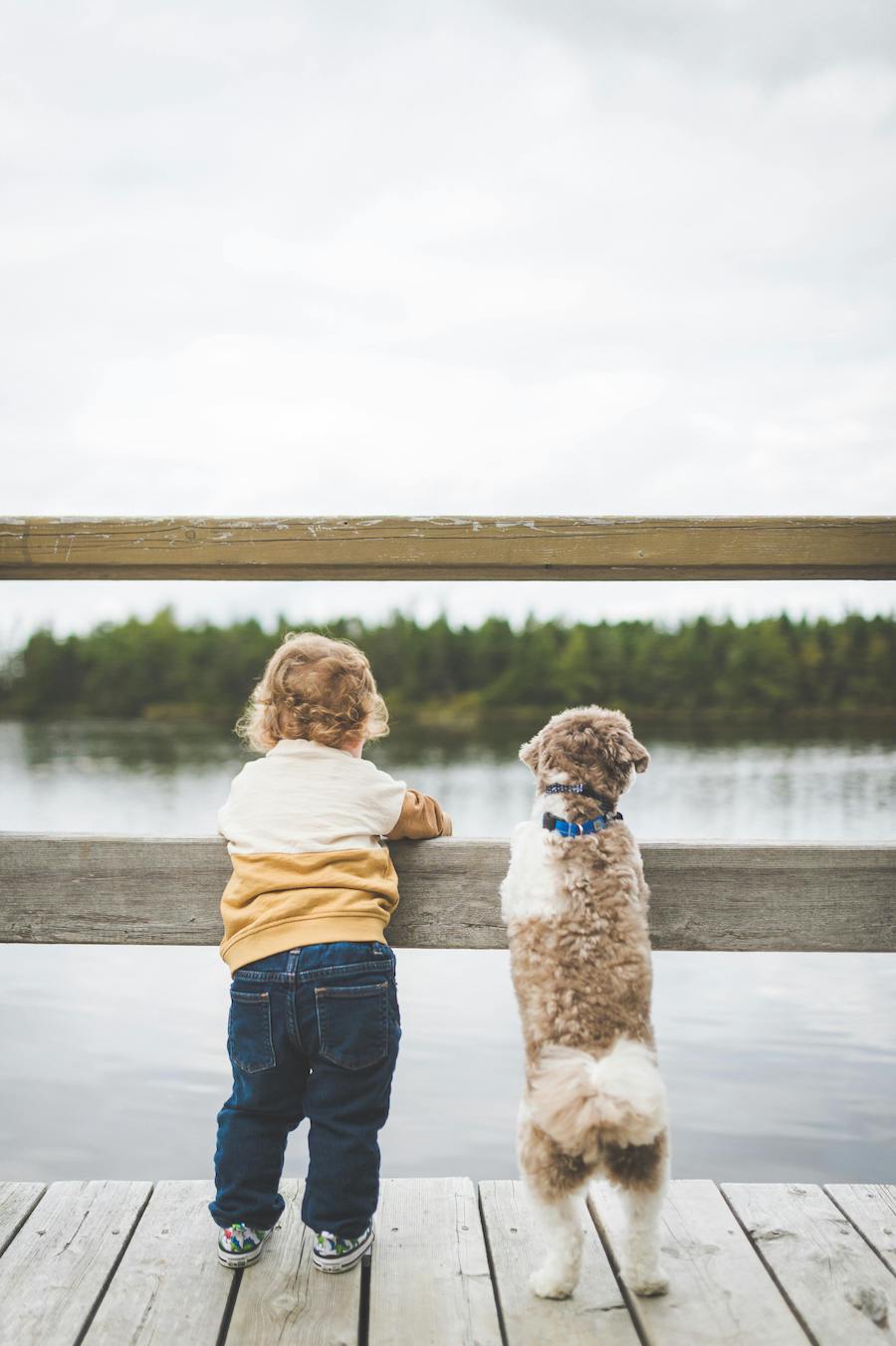 boys will be boys