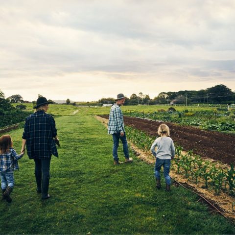 raising a family in a small town