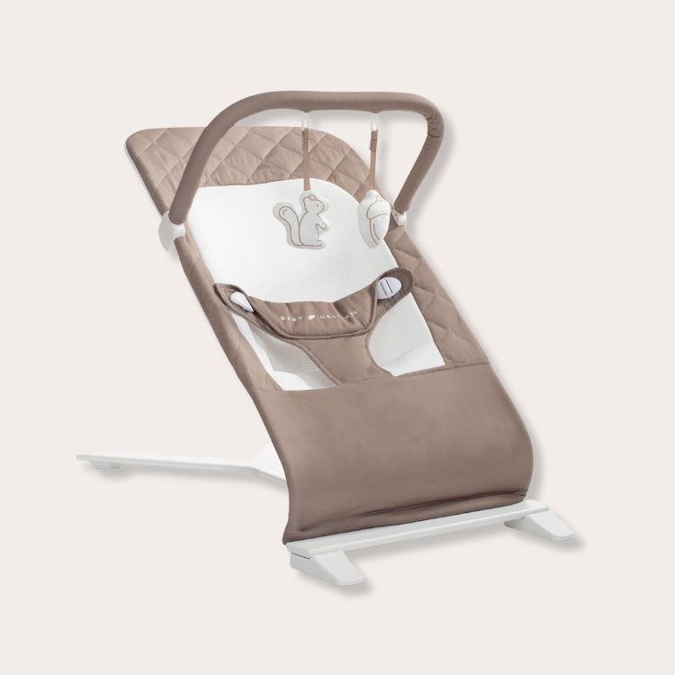 Foldable Baby Bouncer