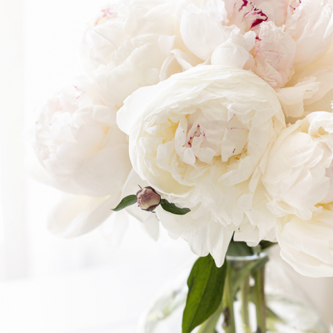 mourning an early-term miscarriage
