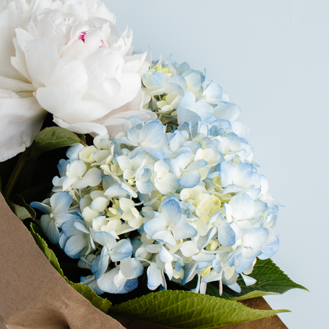 Tips for Coping With a Pregnancy or Infant Loss