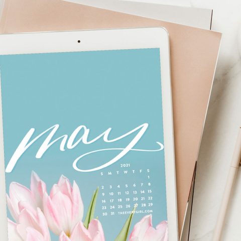 may tech backgrounds