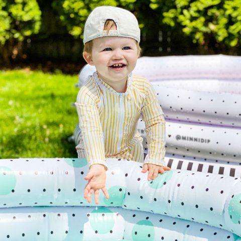 the everymom minnidip