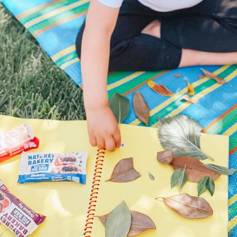 back to school activities