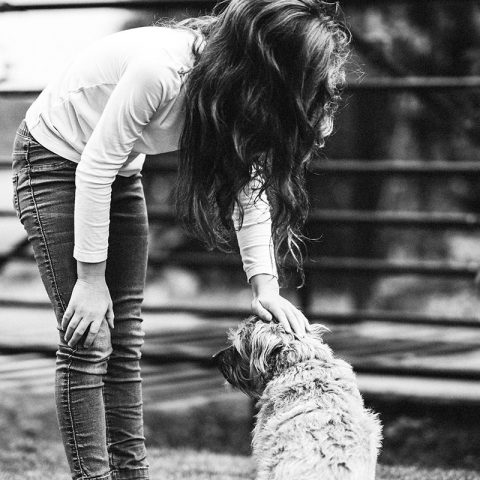 losing a pet