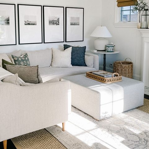family friendly couch