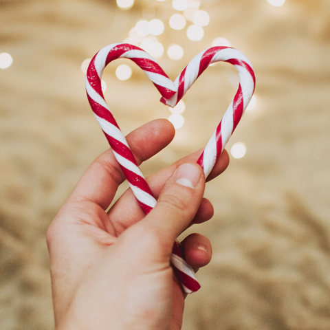 give back at the holidays