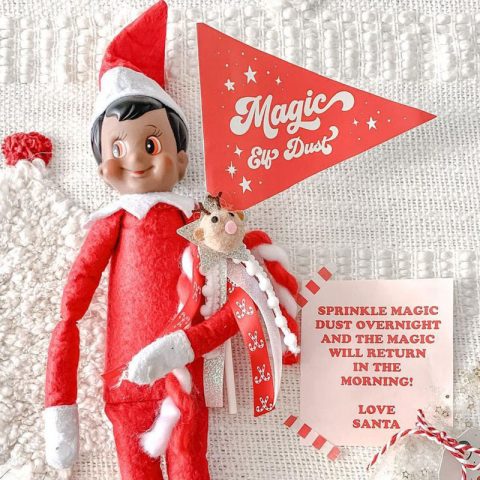 elf on the shelf ideas