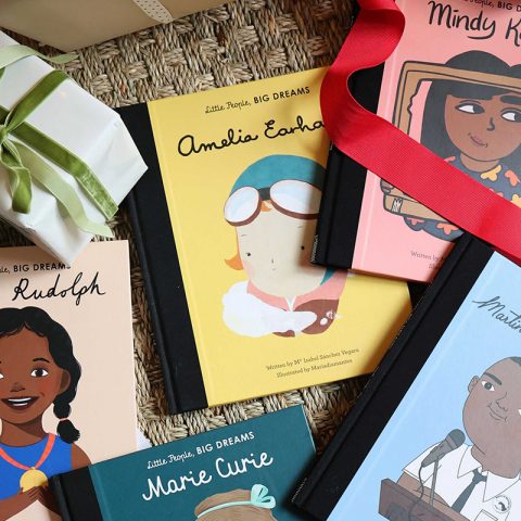 little people big dreams books