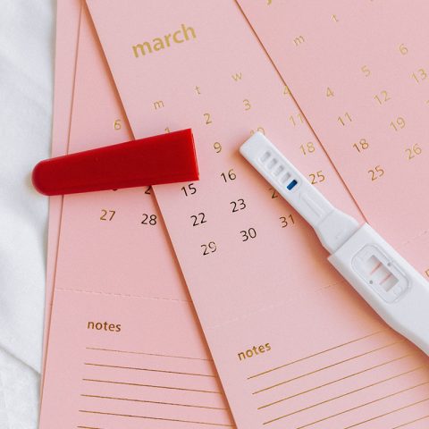 clomid fertility journey