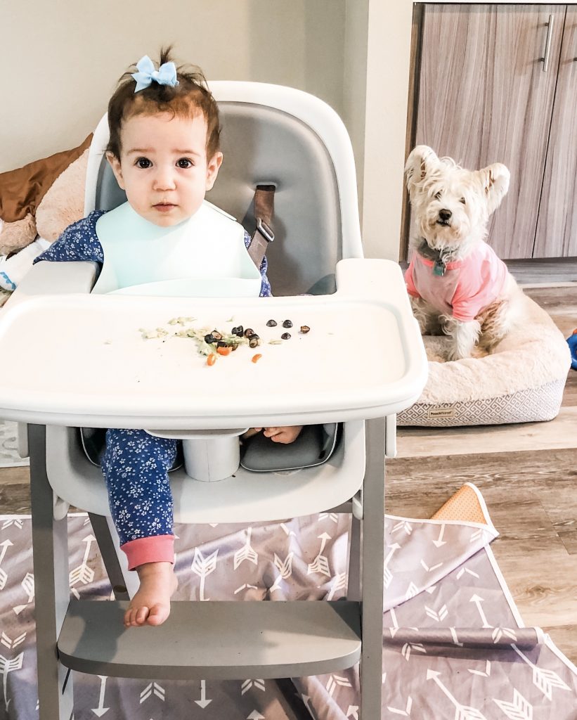 baby-led weaning