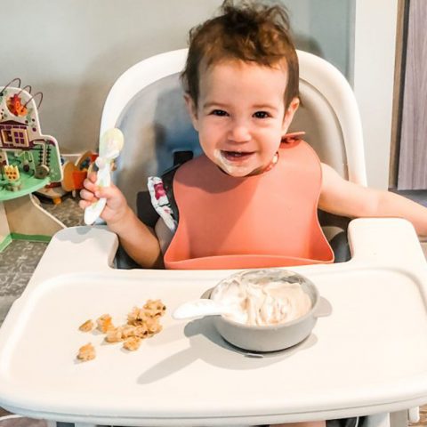 baby led weaning vs purees