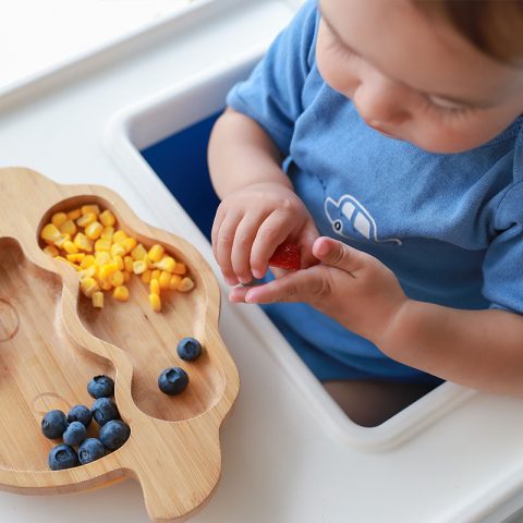 dairy protein allergy