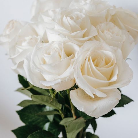 grandparent passed away