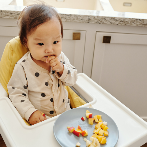 introduce new flavors to baby