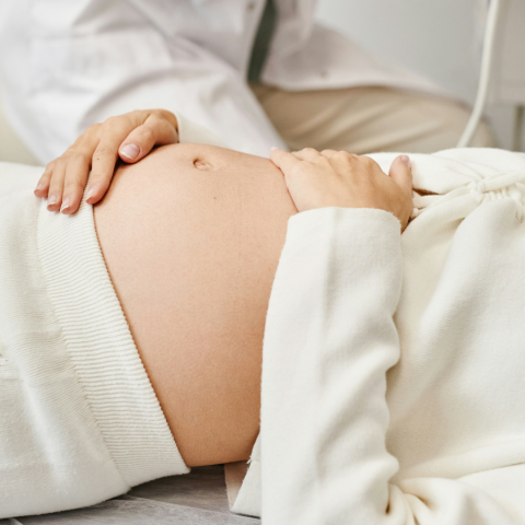 pregnant ultrasound