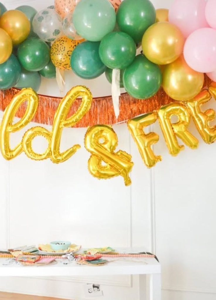 two wild 2nd birthday party decorations