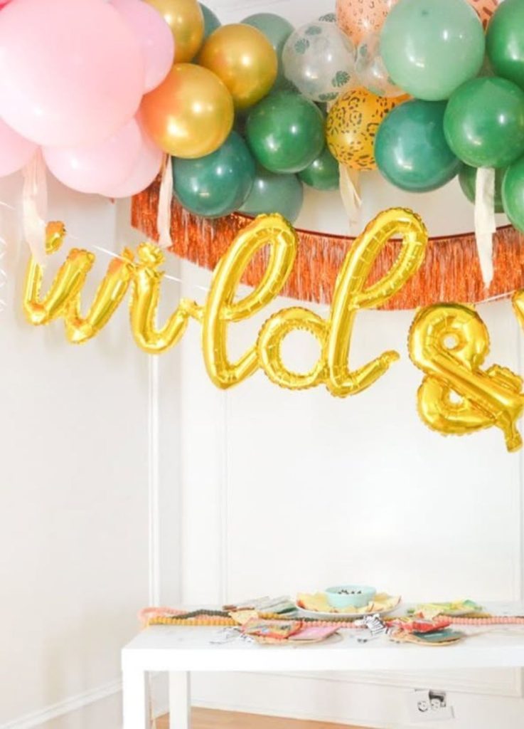 two wild 2nd birthday party decorations