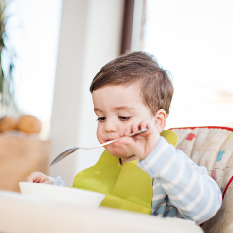 picky eater nutrition