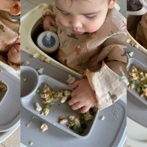 independent eating starting solids
