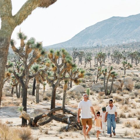 weekend getaway from Los Angeles Joshua Tree