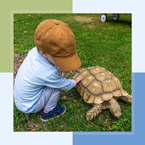 Montessori summer activities