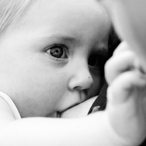 breastfeeding toddler