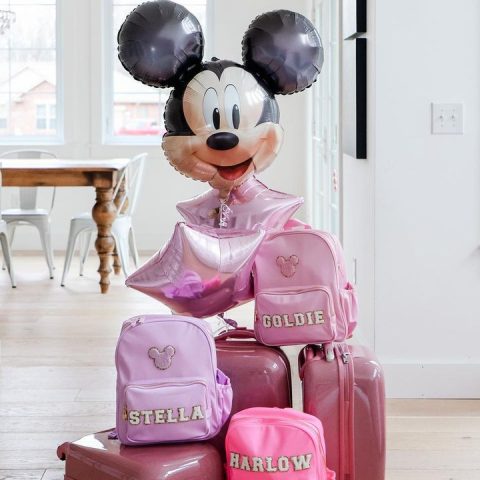 suitcases with disney balloon