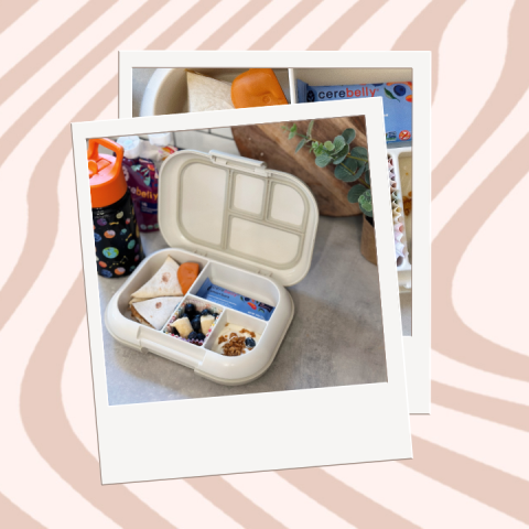 school lunch cerebelly snacks