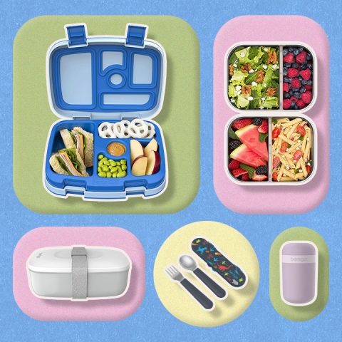bento box lunch boxes