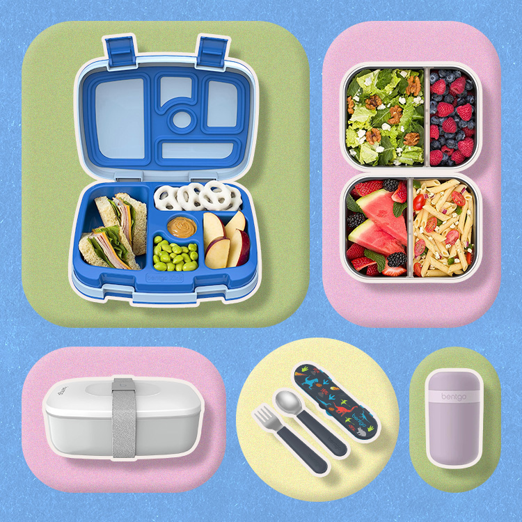 bento box lunch boxes