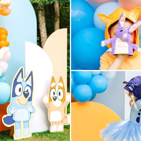 bluey birthday party