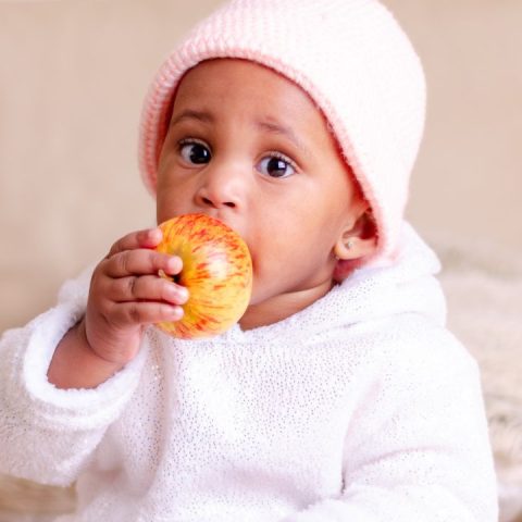 baby and toddler feeding