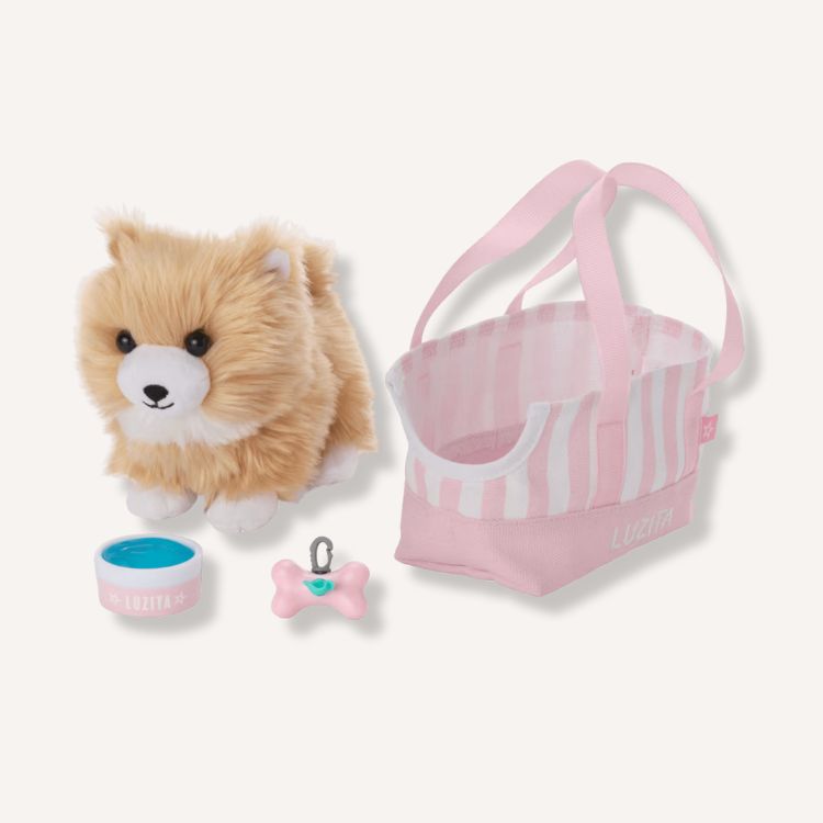Raquel's Dog with Carrier