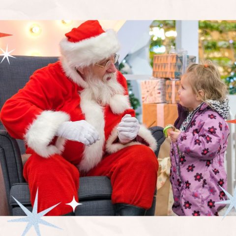 mall santa