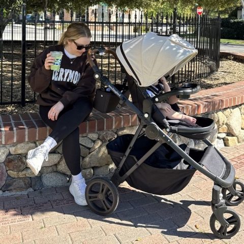 mockingbird stroller