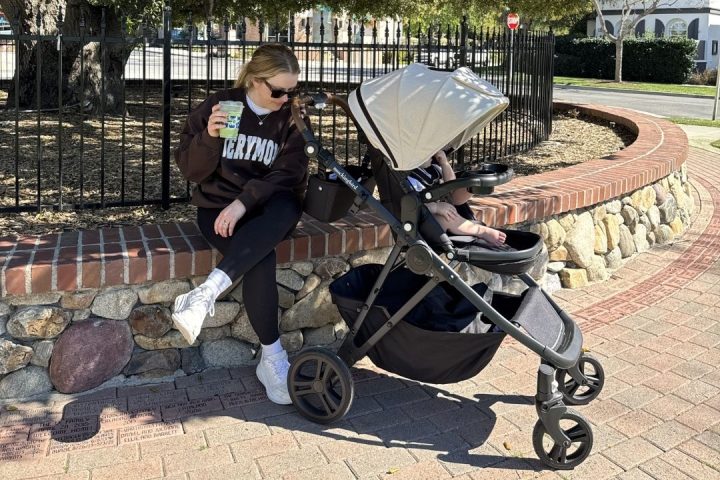 mockingbird stroller