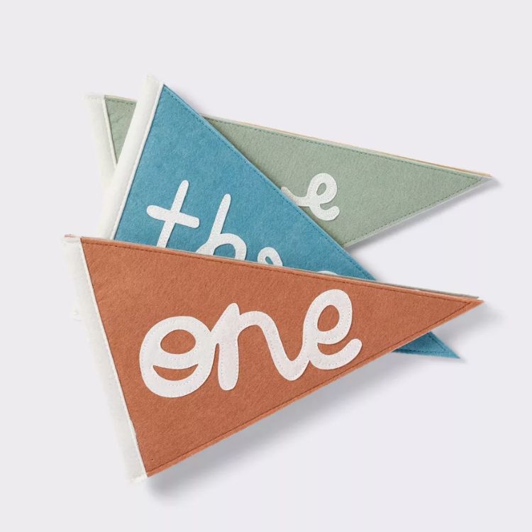 Baby Monthly Milestone Pennants