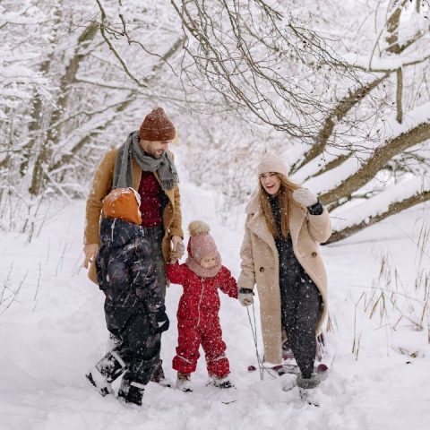 family winter activities