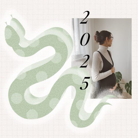 chinese zodiac 2025 snake