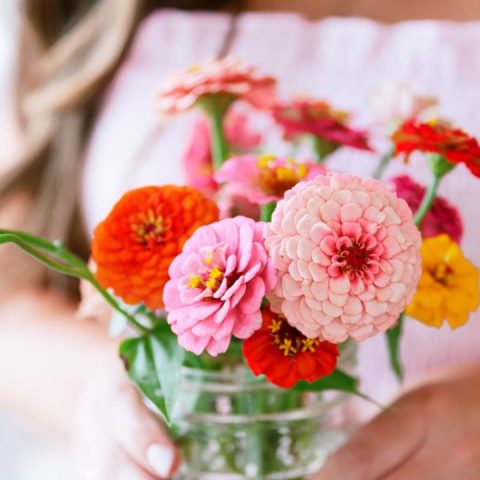 celebrating friends pregnancies after miscarriage