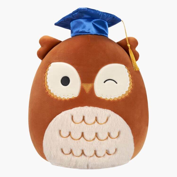Brown Owl with Graduation Cap