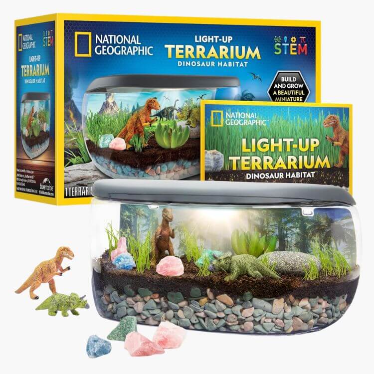 Light-Up Terrarium Kit
