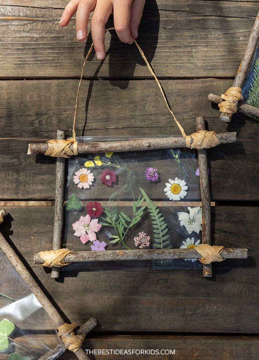 nature stick frames