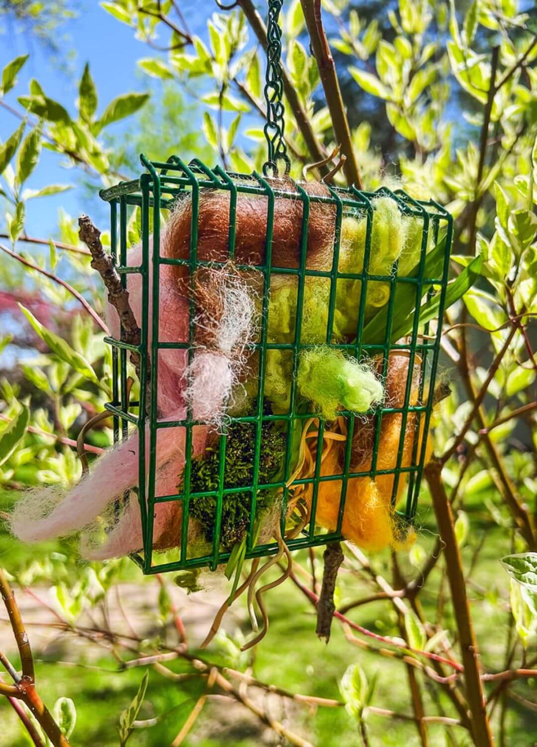 bird's nest helper