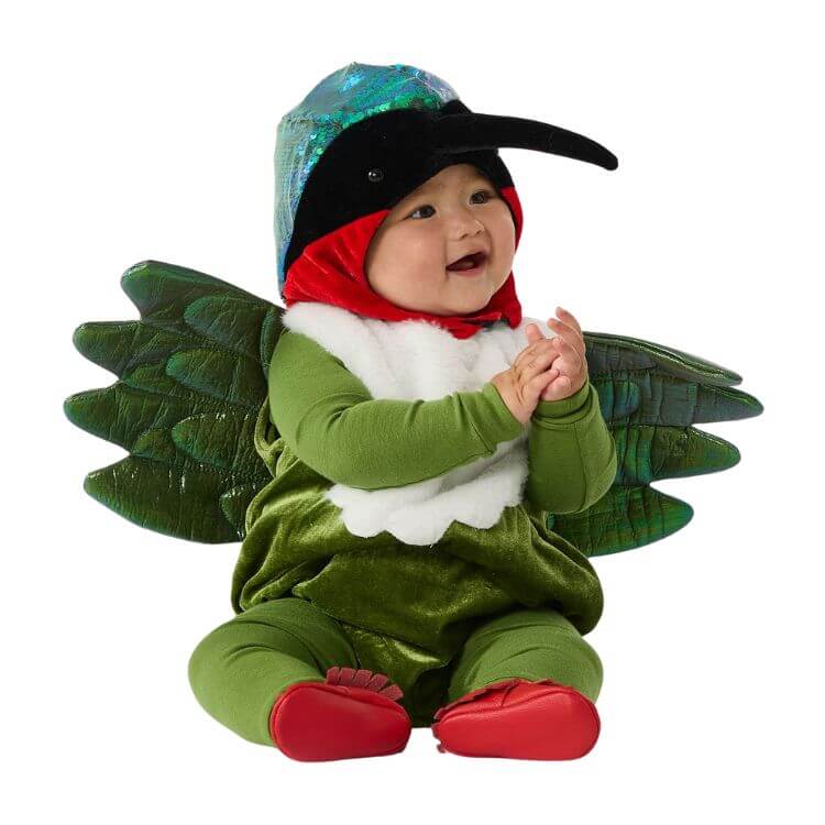 Baby Hummingbird Costume