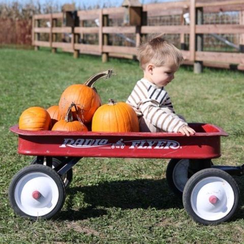 fall baby names