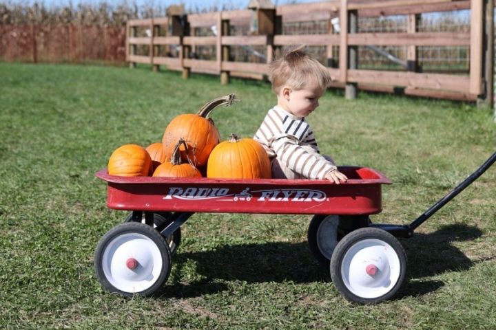 fall baby names