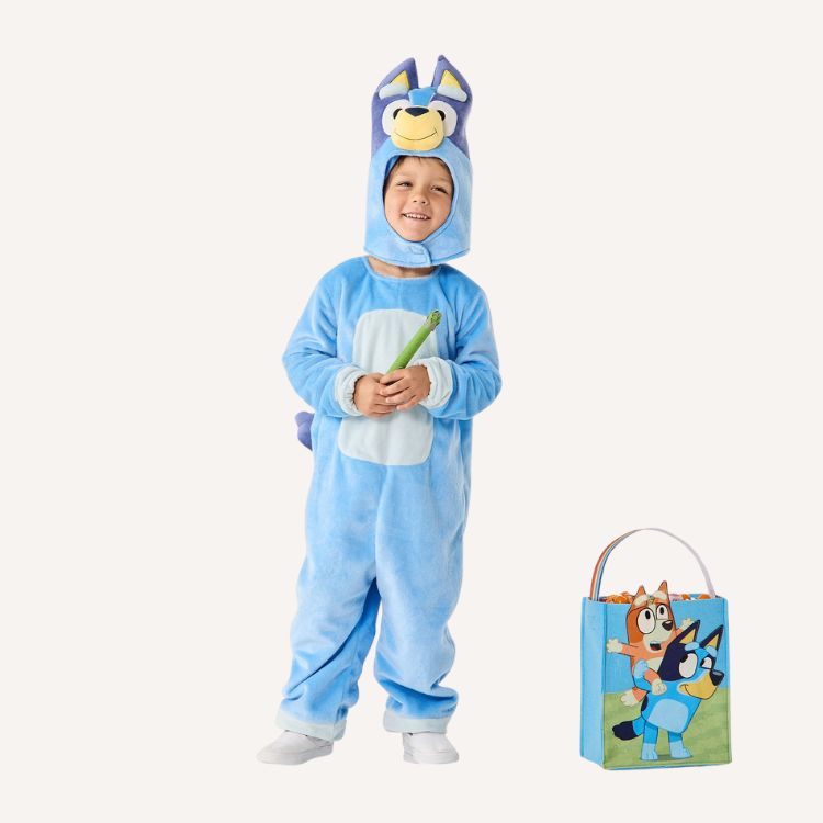 Bluey Toddler Costume