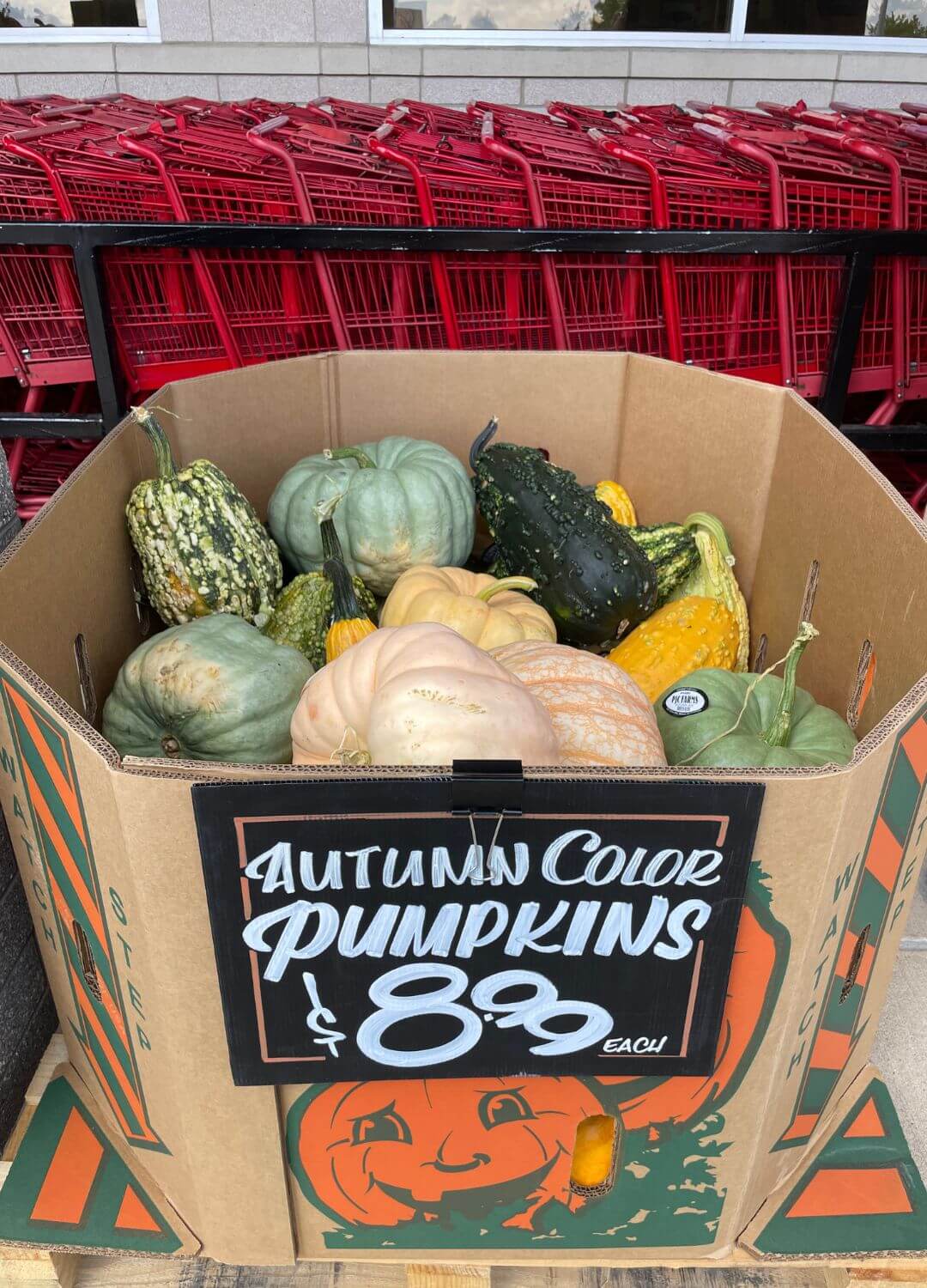trader joe's pumpkins